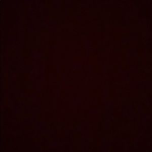 Meet your Posher, Kiara